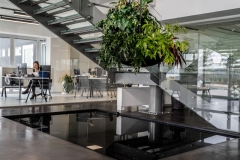 Gaber-per-Damiano-1-1