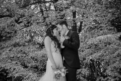 29-Fotogrammi-per-Album